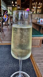 IMG_3994.jpeg