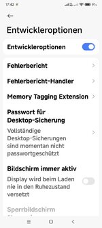 Screenshot_2025-06-05-17-42-48-825_com.android.settings.jpg