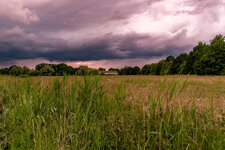 DSC06479-2.jpg