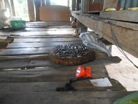 DSCN9708.JPG