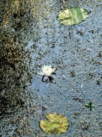 PXL_20250612_161402756~4.jpg