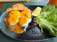 IMG_7321.jpeg