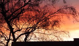 sunset.jpg