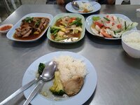 IMG_20250218_1948300731.jpg