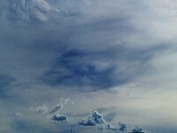 20250617_160533.jpg