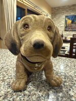 IMG_7673.jpeg