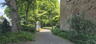 20250617_121058.jpg