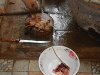 DSCN1225.JPG