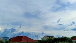 20250617_160455.jpg