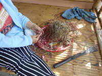 DSCN1230.JPG DSCN1230.JPG