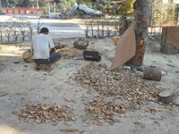 DSCN1298.JPG