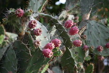 54597996874_cabf4bd604_h.jpg