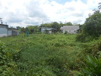 DSCN0223.JPG