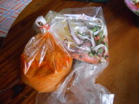 DSCN0235.JPG