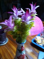 IMG_20250620_202522_388.jpg