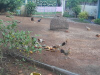 DSCN0015.JPG