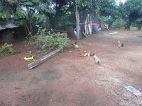 DSCN0013.JPG