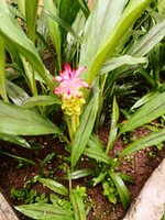 IMG_20250614_161405_789~2.jpg