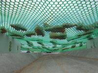 DSCN0052.JPG