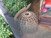 DSCN0029.JPG