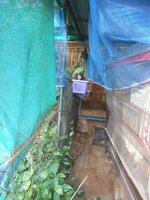 DSCN0028~2.JPG