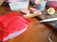 DSCN0047.JPG