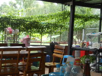DSCN0089.JPG