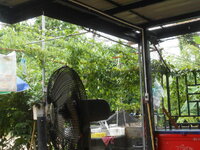 DSCN0091.JPG