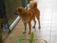 DSCN0189.JPG