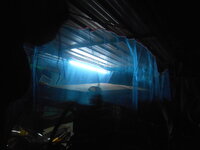 DSCN0255.JPG