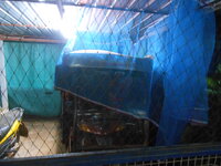 DSCN0256.JPG