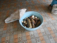 DSCN0093.JPG