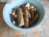 DSCN0094.JPG