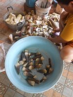 DSCN0107~2.JPG