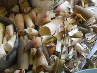 DSCN0109.JPG