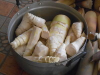 DSCN0108.JPG