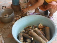 DSCN0100.JPG