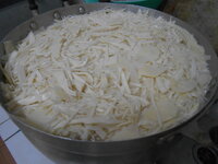 DSCN0124.JPG