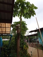 IMG_20250614_161812_126.jpg