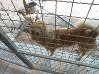 DSCN0104.JPG