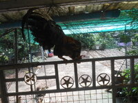 DSCN0101.JPG