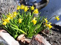 IMG-20250319-WA0016.jpg