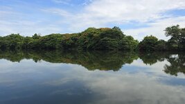 20250624_091319.jpg