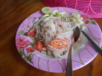 DSCN0266.JPG