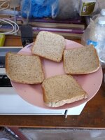 IMG_20250624_101436_131.jpg