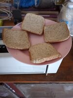 IMG_20250624_101422_221.jpg