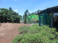 DSCN0147.JPG