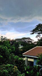 20250624_165907.jpg