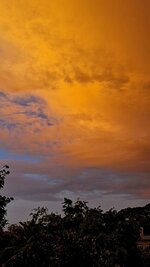 20250624_183454.jpg