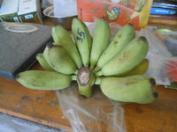 DSCN0199.JPG